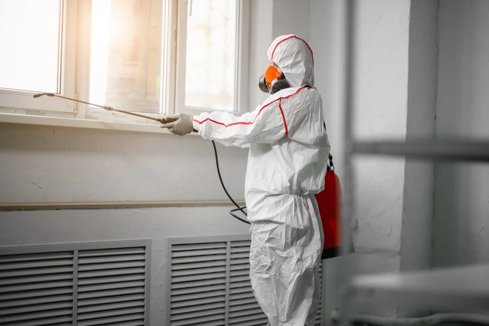 Professional mold remediation services in Mount Clemens, MI